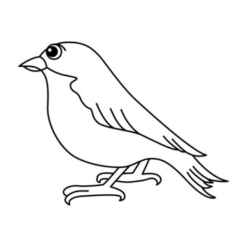 Cute bird cartoon coloring page illustration vector. For kids coloring book.