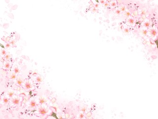 桜の花の背景素材