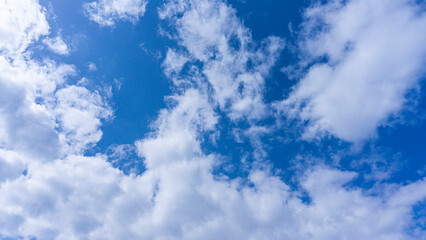 Obraz premium 爽やかな色の夏空