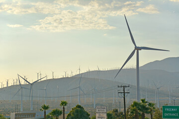 Large solar wind farms in the southern California desert