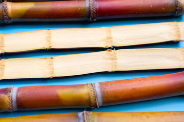 Sugar cane on blue background.