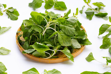 Green spinach on white background. Top view