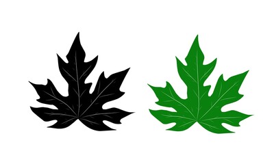 Illustration of papaya leaf. Green color and silhouette