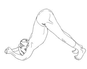 アルダピンチャマユーラーサナ（イルカのポーズ）