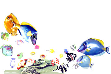 Fototapeta premium 熱帯魚