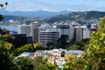 A view of the Wellington city, residential houses, office blocks in CBD and Mt Vic in the distance,...