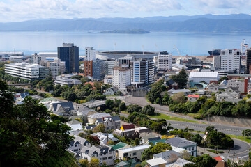 A view of downtown with landmarks of stadium, skyscraper office blocks, and Matiu Somes Island in...