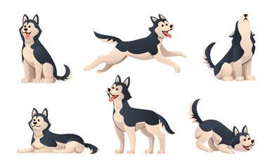 Set of cute siberian husky in various poses illustration