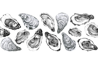 Seamless banner with hand drawn oysters