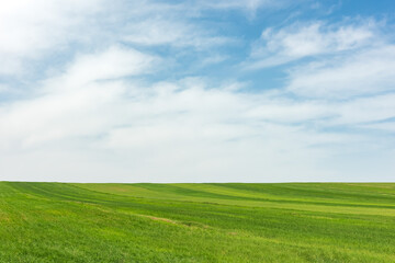 Fototapeta na wymiar Landscape with green farm fields and cloudy sky