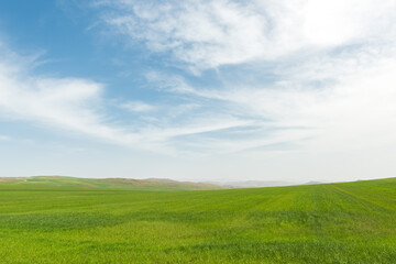 Obraz na płótnie Canvas Landscape with green farm fields and cloudy sky