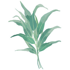 ユーカリの葉のナチュラルスワッグ