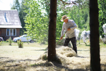 An elderly farmer cleans up the cut hay. A gray-haired man mows the grass in the meadow.