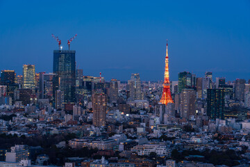Fototapeta na wymiar Tokyo city view and Tokyo tower at magic hour.
