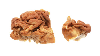 Stitches giant mushroom isolated on white