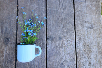 blue forget-me-nots wild flowers in a cup