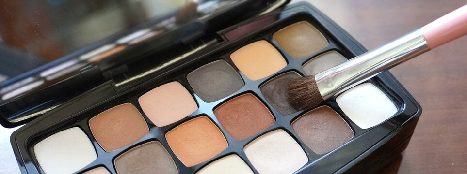 Professional makeup artist eyeshadow palette with brush
