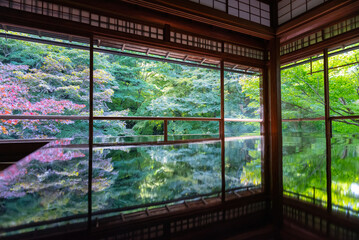 京都瑠璃光院の景色