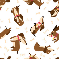 Dachshund seamless pattern with collars and medallions in various poses and bones in the background. Drawn in cartoon style. Vector illustration for designs, prints, patterns. Isolated on white