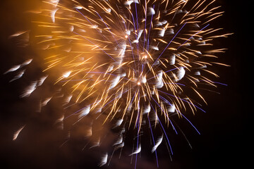 fireworks in the night sky