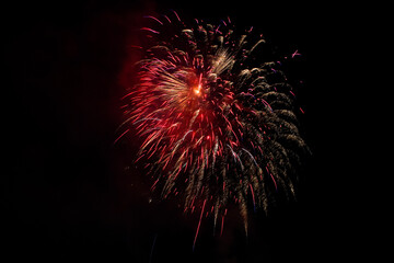 fireworks in the night sky