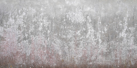 grey large long concrete wall background gray roughcast in panoramic web format and header