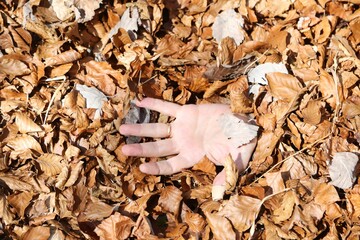 hand of a man with a wedding ring submerged in the dead dry leaves that seems to be asking for help