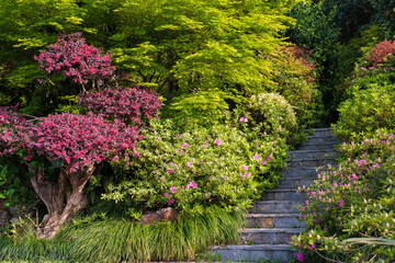 Spring scenery of Yellow Crane Tower Park in Wuhan, Hubei