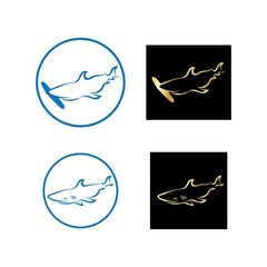 Shark illustration Logo design icon