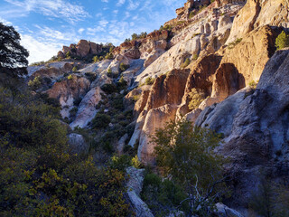 grand canyon state