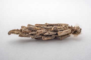 Close up of Lepidoptera psychid, North China