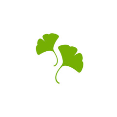 Cartoon flat green ginkgo biloba leaves isolated on white. Nature eco icon.