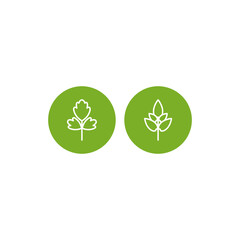 parsley and, basil. set of white line twigs, shoots, sprigs in green circles isolated. agriculture, nature, ecology, healthy organic and farm fresh food. italian herbs