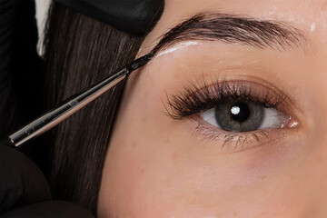 The cosmetologist draws up women's eyebrows with brown paint, coloring eyebrows with paint or henna...