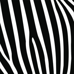 Fototapeta na wymiar Zebra Seamless Motifs Pattern. Vector Illustration