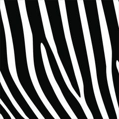 Fototapeta na wymiar Zebra Seamless Motifs Pattern. Vector Illustration