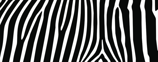 Zebra Seamless Motifs Pattern. Vector Illustration