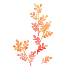 Bunch of Autumn red and orange leaves watercolor for decoration on Autumn seasonal and Thanksgiving festival.