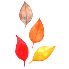 Fototapeta na wymiar Colorful fall leaves watercolor illustration for decoration on Autumn season and nature concept.
