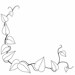 Fototapeta premium Simplicity ivy freehand drawing flat design.