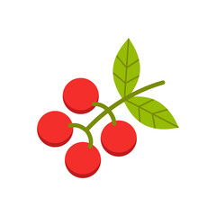 Fresh coffee bean, icon, Vector, Illustration.