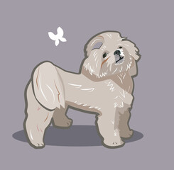 cute dog, lapdog , cartoon isolated illustration on brown background