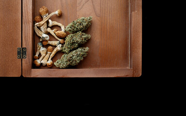 Natural recreational drugs concept. Dry cannabis buds with psilocybin mushrooms in wooden craft box