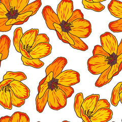 Vector illustration of a floral pattern. Yellow flowers on a white background.
