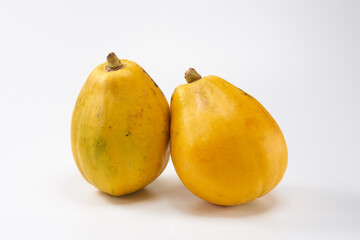 パパイヤの実を白背景で