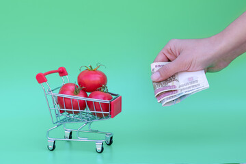 Woman hands hold russian rubles as metaphor of buying red ripe cherry tomatoes near shopping cart full of tomatoes on green background.Concept of choosing and buying vegetables in supermarket.