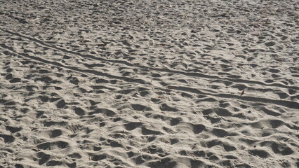 sand background