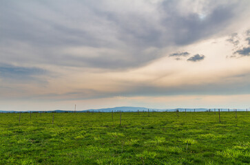 Spring meadow with wooden sticks, distant hill and dramatic sunset sky. Czech landscape