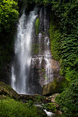Tropical sunny landscape Bali - fresh summer wild powerful waterfall in jungle with lush green foliage, rainforest, wet moss, stream of purity water in sunlight with bright splashes, vertical.