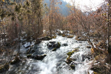 Beautiful long exposure shot of a stream in the forest with trees